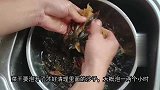 秋天干燥多喝汤，教你一款客家润肺靓汤，老婆最爱喝，简单又实惠
