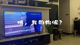一只有修养的干饭狗