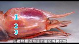 这么多年，我终于吃上了钓鱼岛那边的海鲜，太子虾！