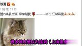 舒淇因《上海堡垒》退出娱乐圈舒淇揭露真相,网友好好休息