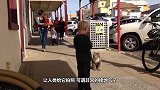 考拉大摇大摆地走近超市，下一秒举动成精了，镜头拍下全过程