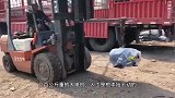 叉车师傅这么做才是完美，不是拍下谁信！