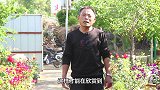 在家养了3种花后，空气中粉尘全吸收，清爽干净空气质量好