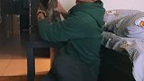 这样的小猫咪，你爱了吗