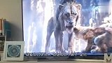 猫：咱俩可是好哥们，你这是干什么