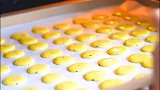 烘焙新手一次成功，蛋黄小饼干，无油无水，一口一个，孩子吃不够