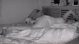当女主人熟睡时放屁，监控拍下狗狗，一脸的生无可恋