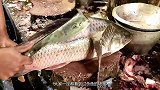印度人咋杀鱼的？看他们杀鱼，就感觉这么多年的鱼白吃了