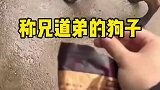 和狗子称兄道弟，反被狗子嫌弃