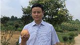 7月3日韶山副市长将化身“带货主播”，为水蜜桃代言