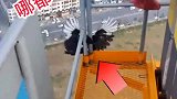 人家两国相争还不斩来使呢