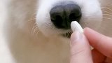 出院之后就不肯吃药了，难搞哦！