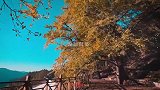 这就是含金量满满的秋天