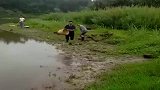 吃鱼太方便，雨后的河边，想抓多少抓多少！