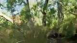 单挑荒野：德哥用扒下树皮当做床垫，醒来后赞叹睡眠良好！