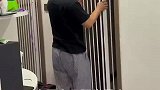 重度社恐小猫咪，藏得严丝合缝