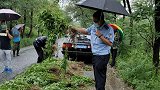 北京昌平发现2万多株毒品原植物 150多人一小时全部铲除