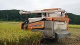 农村大叔购买的进口收割机，水稻收割性能稳定，如行云流水般