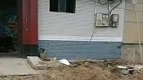 门前规划五米宽的路，村民拆大门让路