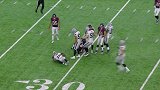 NFL-1617赛季-季后赛-第18周-本周搞笑捧腹瞬间-专题