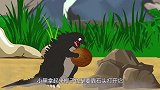 哥斯拉偷吃恐龙蛋，意外被恐龙妈妈发现后，母恐龙当场失控！