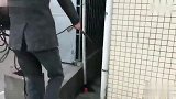 流浪狗被领养后，主人才发现它的内心已经崩塌