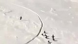 小企鹅与家族因冰层断裂分开后，快速跑向连接处追上群体