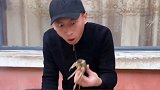 金毛轮胎落井下石，主人要不容易藏的私房钱，全让它给搅和了