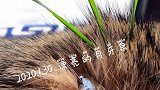 家里又多了一处景点，我又可以旅游了～vlog日常