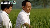 袁隆平：我们的水稻18块一斤还供不应求，日本人吃了也说好