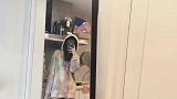 后来有很多个阴天我却不愿淋雨再去见你