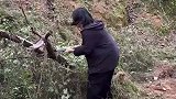女大学生家里干活，砍树架势比男的好