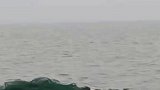 安徽宿松县翻船事故最后一名失联人员被找到，最终3人获救11人不幸遇难……