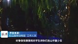 野猪闯入南京师大掉进池塘获救，动物园称今年已救下近30头