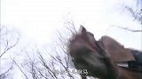 八戒吃霸王餐被一群人围殴，略施小计瞬间变成大英雄！