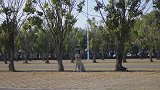 小布的魔法口袋又来拯救布粑了