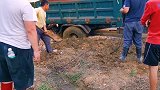 河南挖出稀有龟顶墓，却被村民修路破坏，墓中陪葬品被盗掘一空