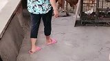 洛洛要吃鸡肉奶奶立刻逮了一只鸡，看洛洛开心的样子可爱了