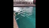 真“水”爷 拉莫斯泳池复健静待复出