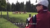 听过鳄鱼的叫声吗？两名老外鳄鱼公园吹低音号，鳄鱼发声回应！