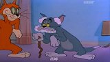 猫和老鼠：汤姆老了，女主人找了个新猫