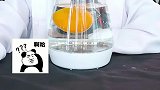橘子放进水里会怎样呢答案出乎你意料！