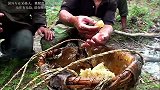 尼泊尔采蜜人悬崖上采蜜，只为采一种价值高昂的极品蜂蜜！