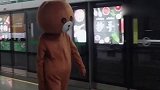 网红熊在地铁上调戏小仙女！真是不作死就不会死！这下倒霉了！