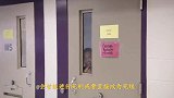 女性死刑犯怀孕后，还会被执行死刑吗？看完涨知识了