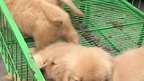 我的生活日记