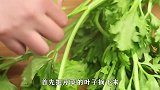你知道四川芹菜炒肉的家常做法吗，简单几步，轻松完成