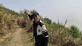 老王抽干大水坑，抓到会咬人的鳗鱼和超大个的海螺，这次发大财了