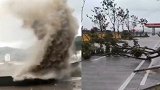 风王“利奇马”逼近 浙江沿海掀十几米巨浪、大树遭连根拔起