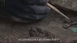 农夫地里干活，发现一枚“玉玺”，挖出后仔细一瞧转身就跑